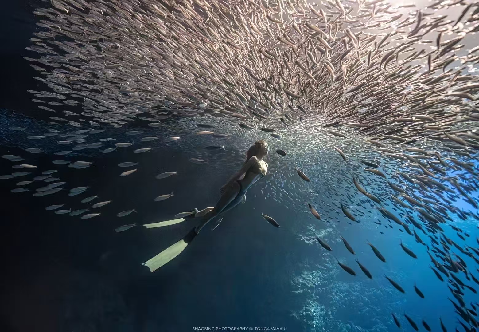 Discover New Horizons